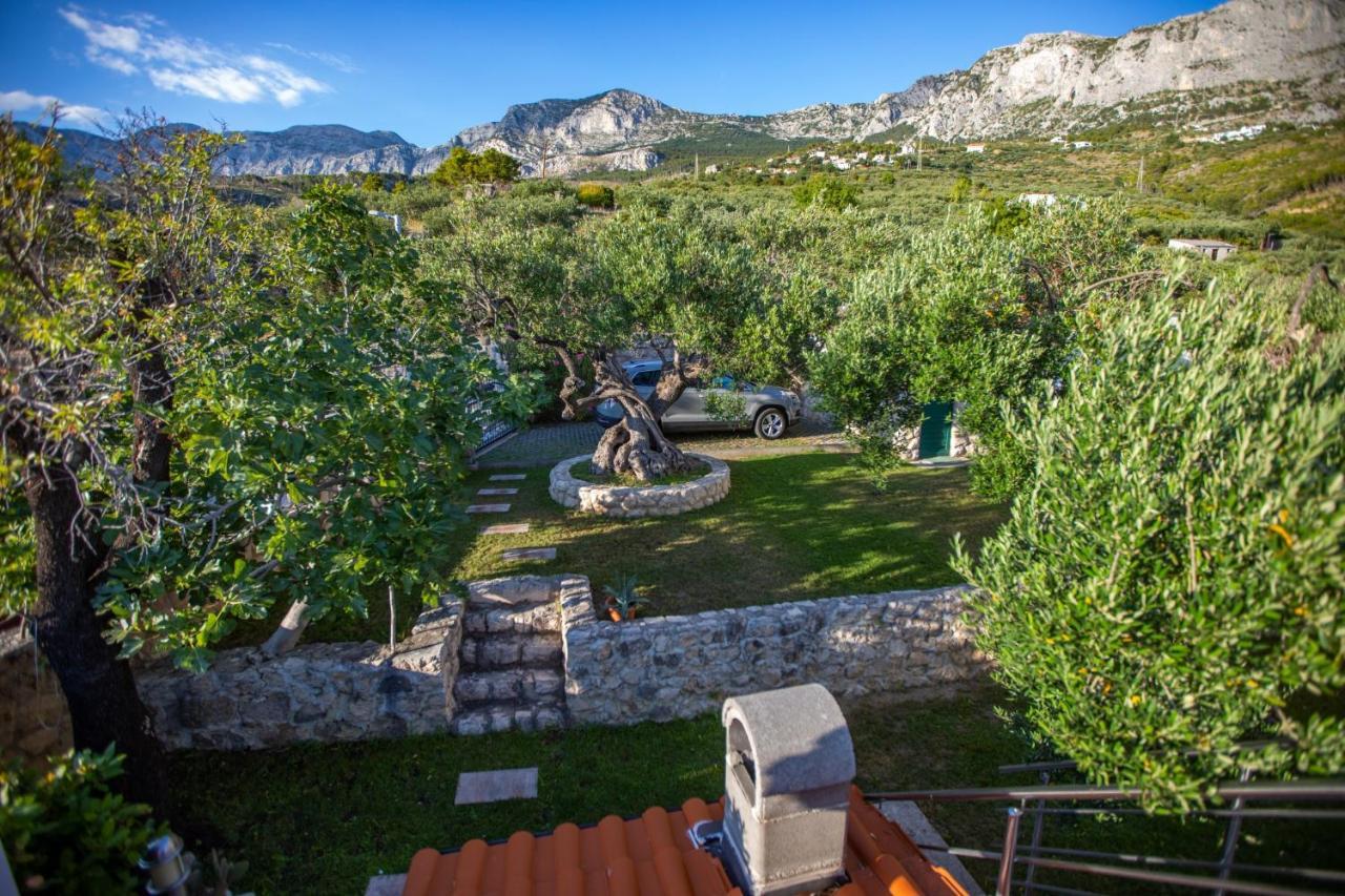 Villa Old Olive, 3Lovelyvillas พอดโกรา ภายนอก รูปภาพ